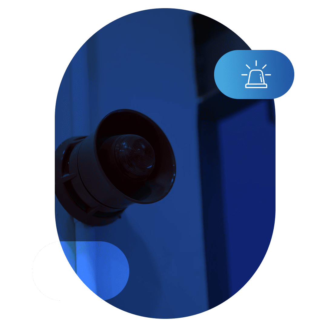 signalizaciq services (1)